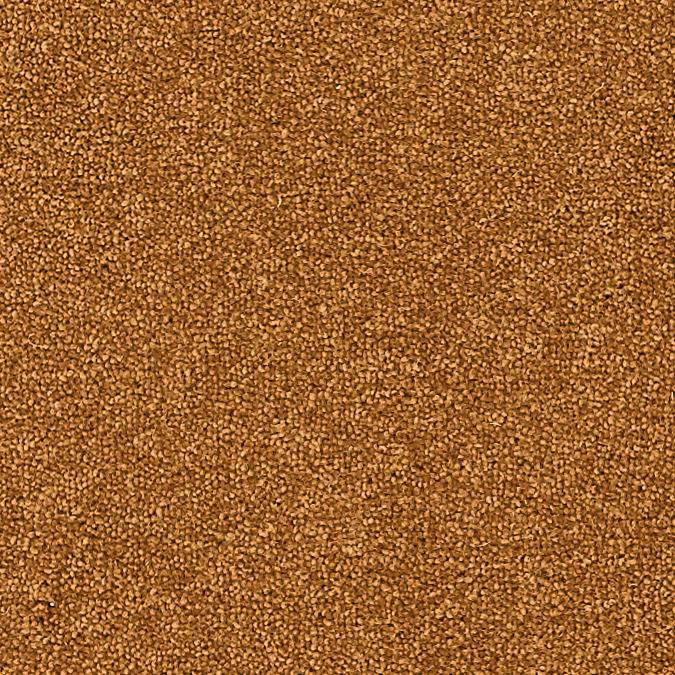 Auburn in Dimensions Plain 50 Brockway Carpets